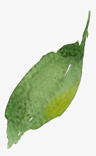 Watercolor Leaf Vector - Watercolor Painting #5193987
