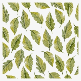 Realistic Hand Drawn Green Leaves Png Seamless Background - Watercolor Painting #5194136