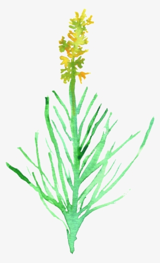 Yellow Pollen Transparent Decorative - Watercolor Painting #5194579