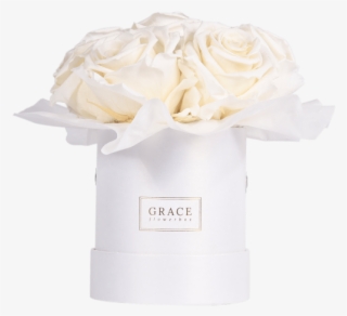 White Bouquet - Article #5196015