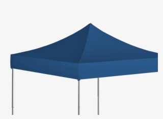 Canopy #5196999
