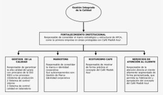 Procesos De Fortalecimiento Institucional Para La Obtención - Coffee #5197546