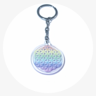 Next - Tots - Tortuga - Tigre - Serpiente - Flor De - Dibujo Bulldog Frances #5199013