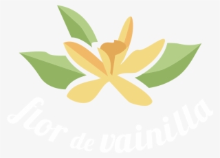 Seinfeld No Soup For You Magnet #5199302