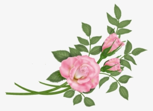 Flowers - Vector Rosa - Rose #520174