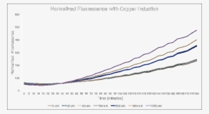 Copper Induced Rfp Expression Over Time - Plot #520218