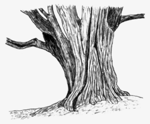 Svg Stock Drawing Woods Tree Trunk - Tree Stump Sketch Png #520246