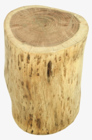 Natural Tree Stump Accent Table - Podstavec Z Akáciového Dřeva Hsm Collection Boom #520363