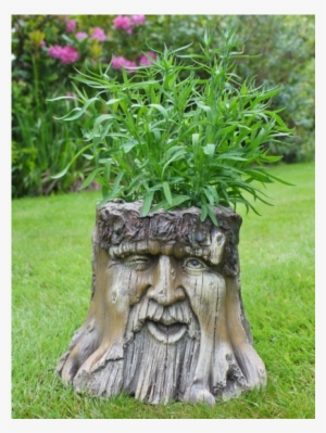 Novelty Tree Stump Garden Planter Wood Carved Face #520424