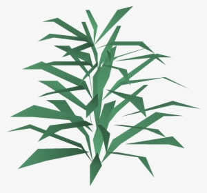 Rosemary Detail - Wiki #520472