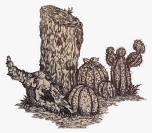 Welp, Here's The Same Desert Tree Stump, But Now It - Tree Stump #520541