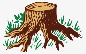 Original Size Is 1771 × 1113 Pixels - Root #520765