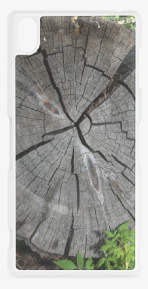 Dried Tree Stump Hard Case For Sony Xperia Z3 - Birch #520878
