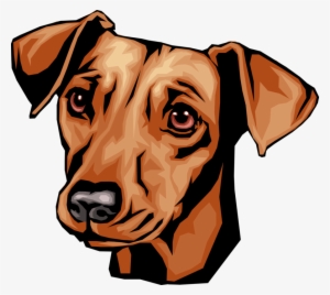 Vector Illustration Of Cute Dachshund Dog Head - Dachshund Cute Vector Head #521029