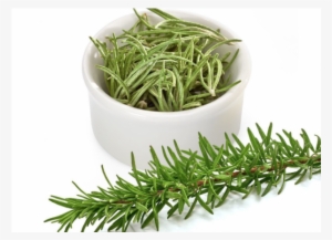 More Views - Rosemary Wild #521101