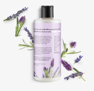 Transparent Lavender Rosemary Image Transparent Stock - Love And Beauty Body Wash #521122