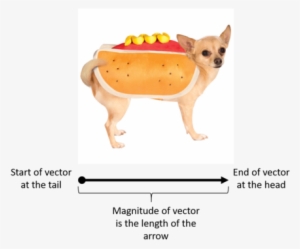 The Length Of The Arrow Represents The Magnitude Of - Hot Pet Costumes By Rubie's - Hot Dog Pet Costume #521385