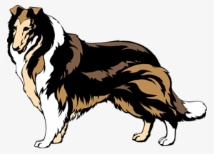 If You Want A Great Place To Buy Dog Accessories Like - Rough Collie Clip Art #521657