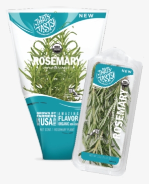 Unforgettable - Cow Parsley #521798