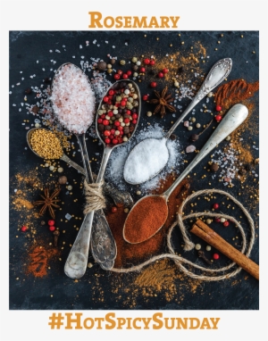 Rosemary - Spices Cooking Journal: 110 Page 8x10 Inch Blank Recipe #521841