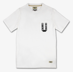 All Web Images Template - Collar #524396