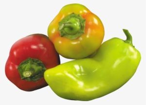 Three Pepper Png - Vegetables Like Peppers #525902