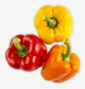Tri Color Sweet Bell Peppers - Red Bell Pepper #525927