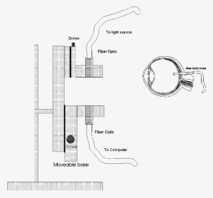 Llustration Of The Eyeball Holder - Diagram #525970