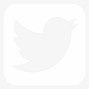 White Twitter Png For Kids - Ceiling #527479