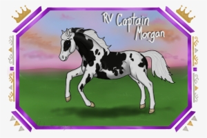 Rv Captain Morgan Barn Name - Mane #528549
