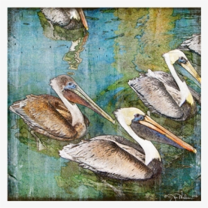 Key West Pelicans Canvas - Brown Pelican #528969