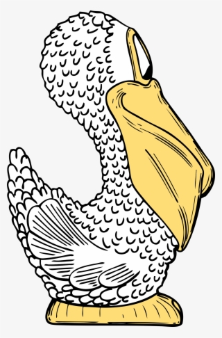 Free Vector Pelican Side View Clip Art #529010