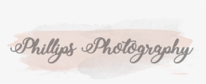 Calligraphy #529062