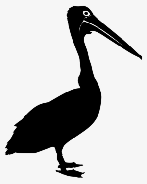 Australian Pelican Kioloa Silhouette - Pelican Silhouette Png #529260