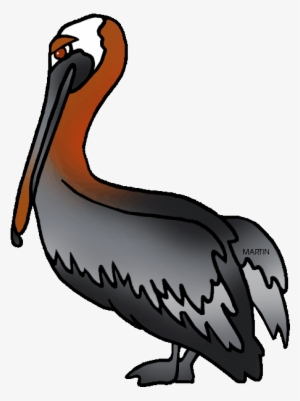 Clip Royalty Free Pelican Clipart Brown Pelican - Louisiana Brown Pelican Png #529992