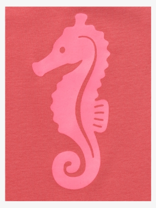 Tapete Ava Sea Horse Suit - Northern Seahorse #5200443