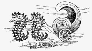 Seahorse Carriage Clipart Png - Sketch #5200816