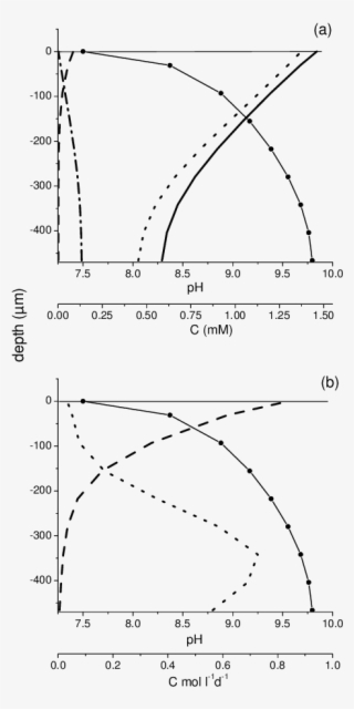 Modeled Distribution Of The C-species - Diagram #5201563
