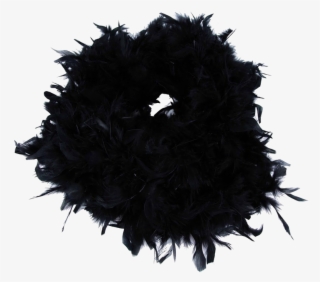 Feather Boa Transparent Image - Flower #5202301