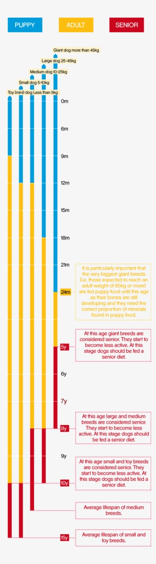 Pedigree® Feeding Guide Table Pedigree® Feeding Guide - Dog #5204369