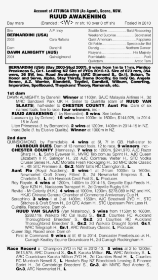 2015 National Sales Mm Ruud Awakening - Document #5205104