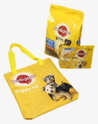 As Always, Ts And Cs Do Apply - Pedigree #5205328