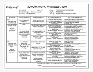 Skip - Document #5205673