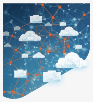 Avi Networks #5206667