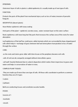 Epidermis Outermost Layer Of Cells In Plants Is Called - Anschreiben Online Bewerbung Muster Unterschrift #5207404