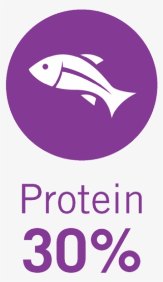 30%-protein #5208669