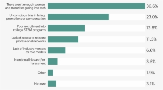 What Do You Believe Is The Primary Cause Of The Underrepresentation - Pattern #5209523