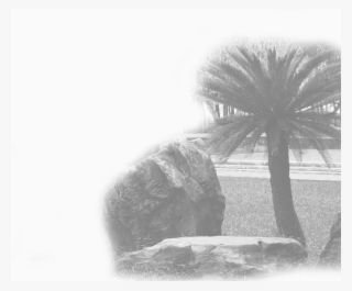 Landscaping, Garden Restoration & Maintenance Services - Monochrome #5209822