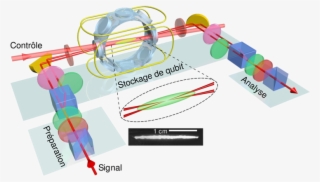 Memory - Quantum Memory #5210799