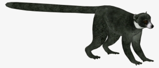 Mongoose Lemur Version 2 F - Dog Catches Something #5213613